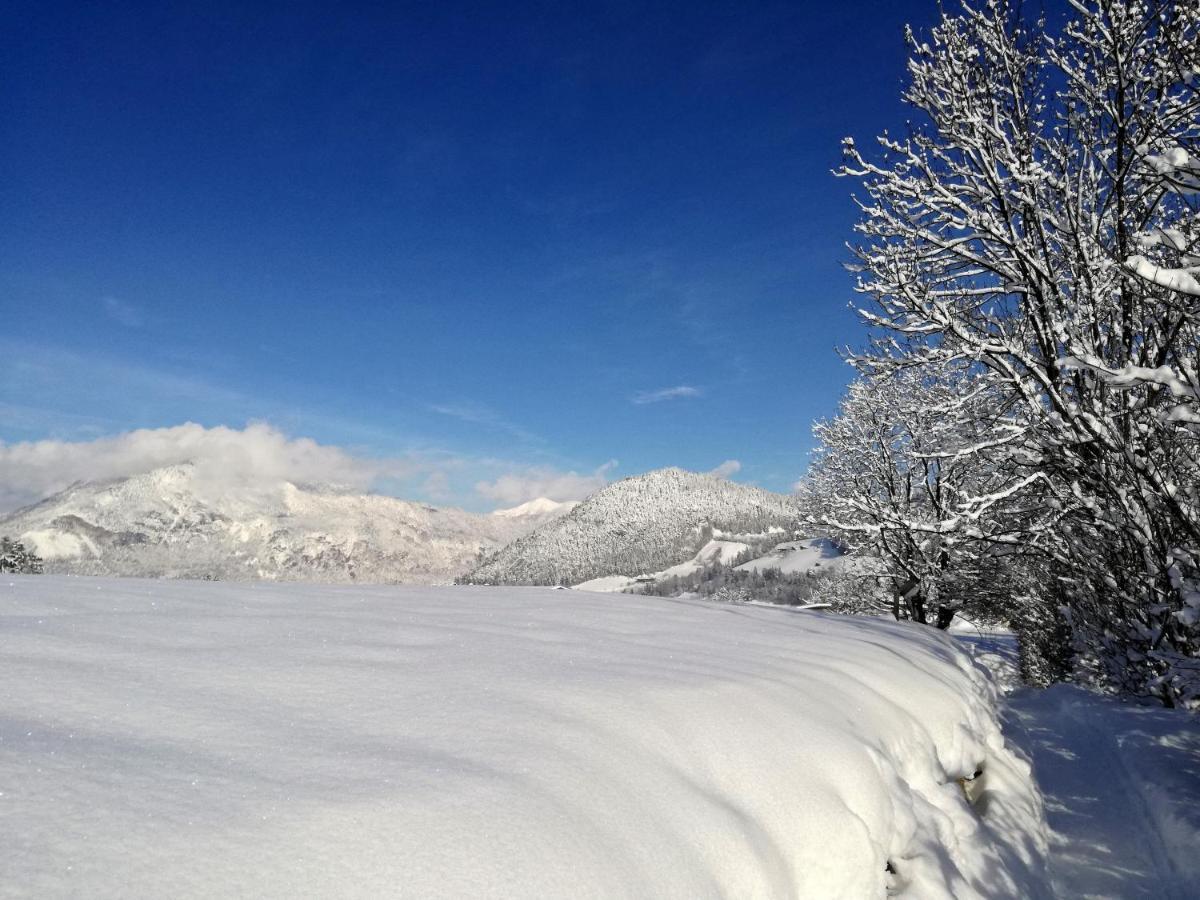 Tramberger Apartments Reith im Alpbachtal Zewnętrze zdjęcie